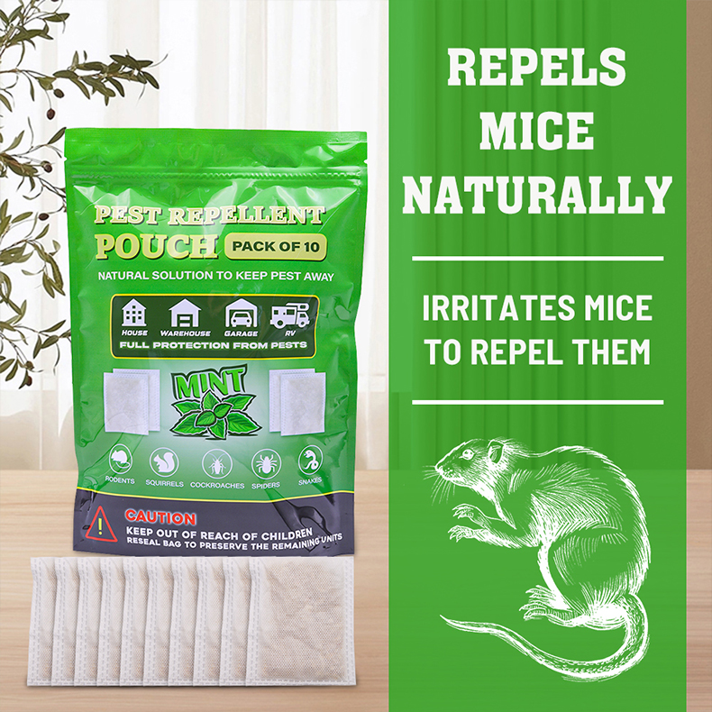 https://shopcdnalpha.grainajz.com/category/36412/3228/0401cf47af68f097dd9dbd22ecd6b693/image.png