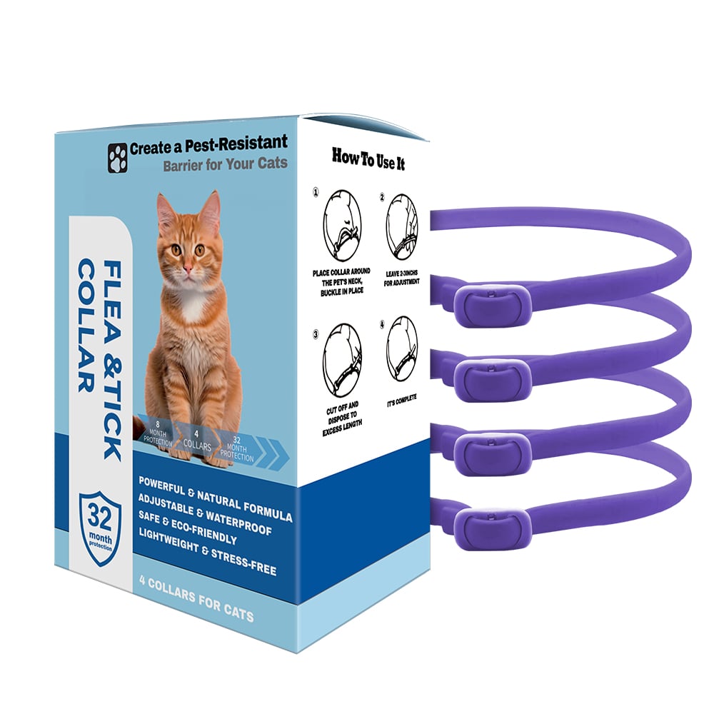 New flea and tick protection collar for cat