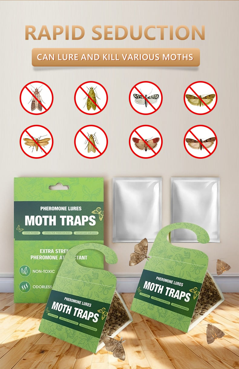 Effective Moth trap 