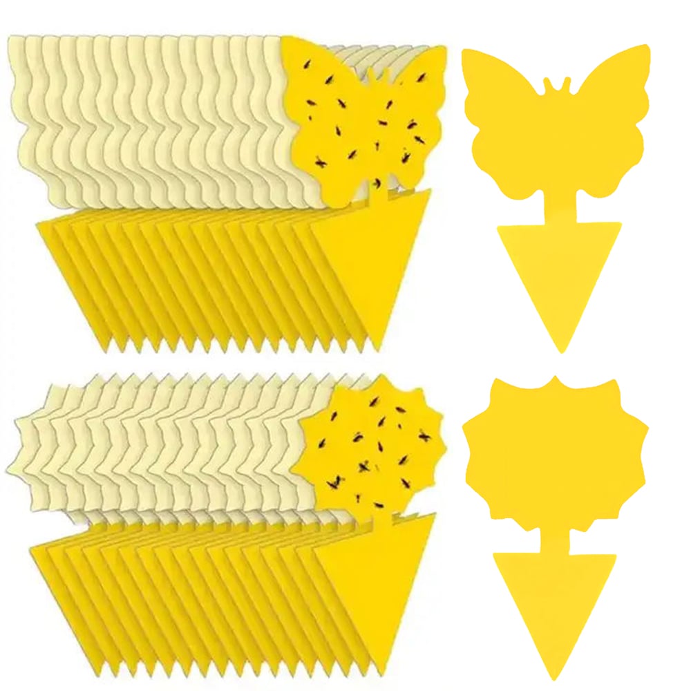 Yellow fly trap sticky