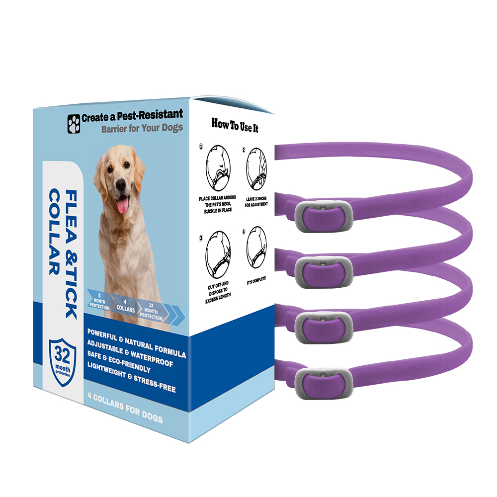 New flea and tick protection collar for dog