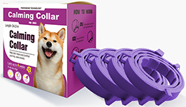 Browse all products