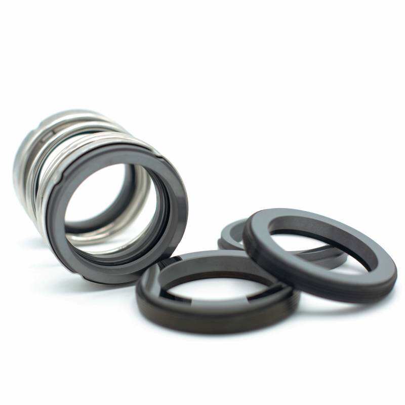 Cartex-Mechanische Dichtungslösungen für Hochleistungspumpensysteme