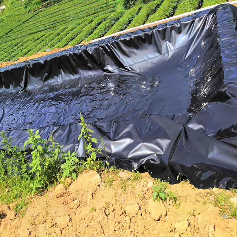 eco-friendly water pond liner options