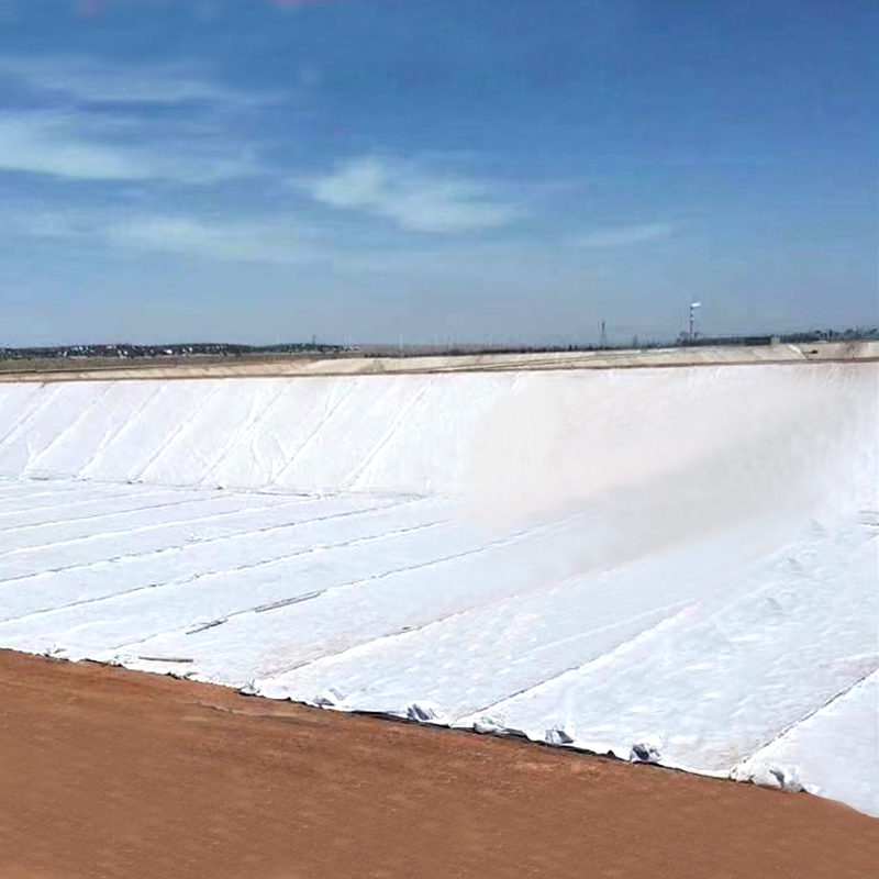 What Are the Latest Trends in Geo Tex Fabric for Wholesale Markets?