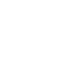 Professional Customization Service