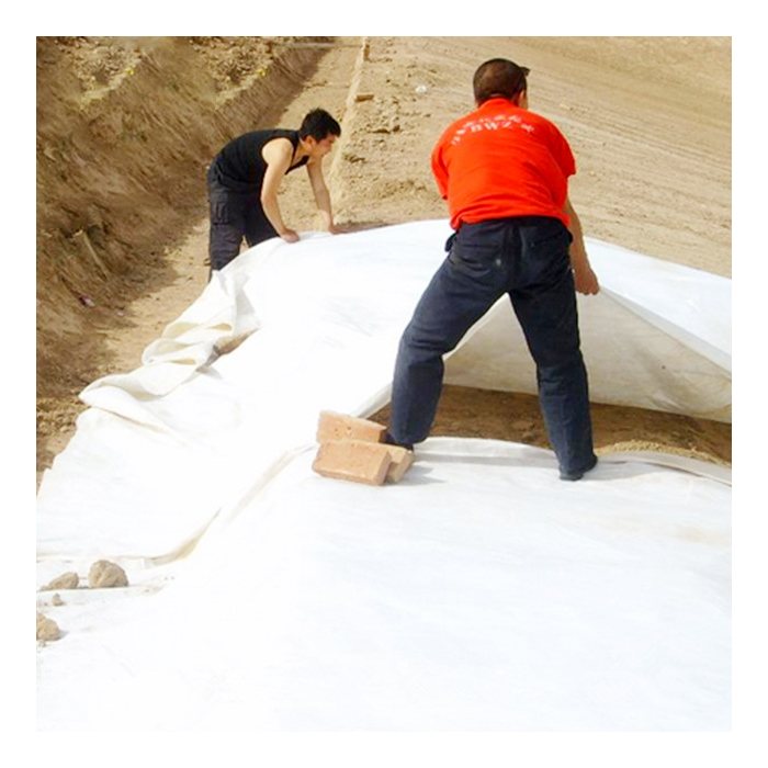 Uncover the Versatility and Performance of Geotex Membrane Products
