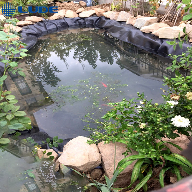 How to install a pond liner properly for long-lasting results