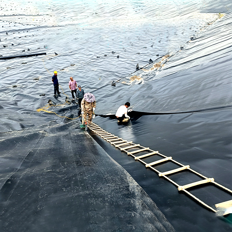 What sets high density polyethylene geomembrane apart from other materials