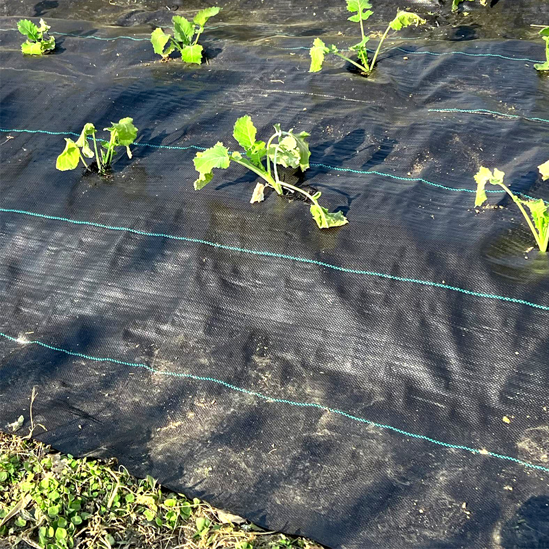 Why PP woven geotextile is popular among contractors and engineers