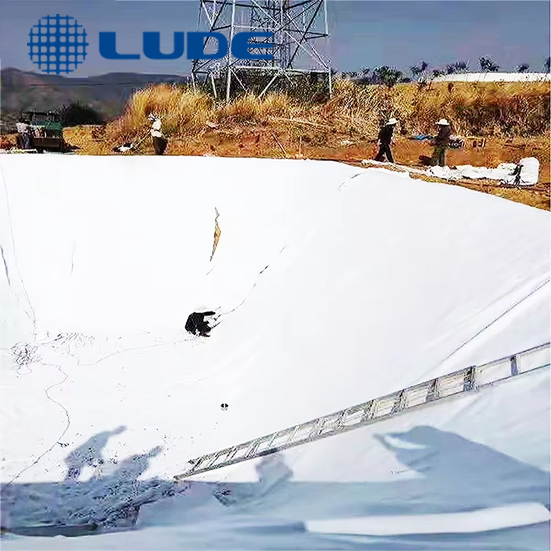 How to Choose the Right Geotextile for Effective Waterproofing Solutions