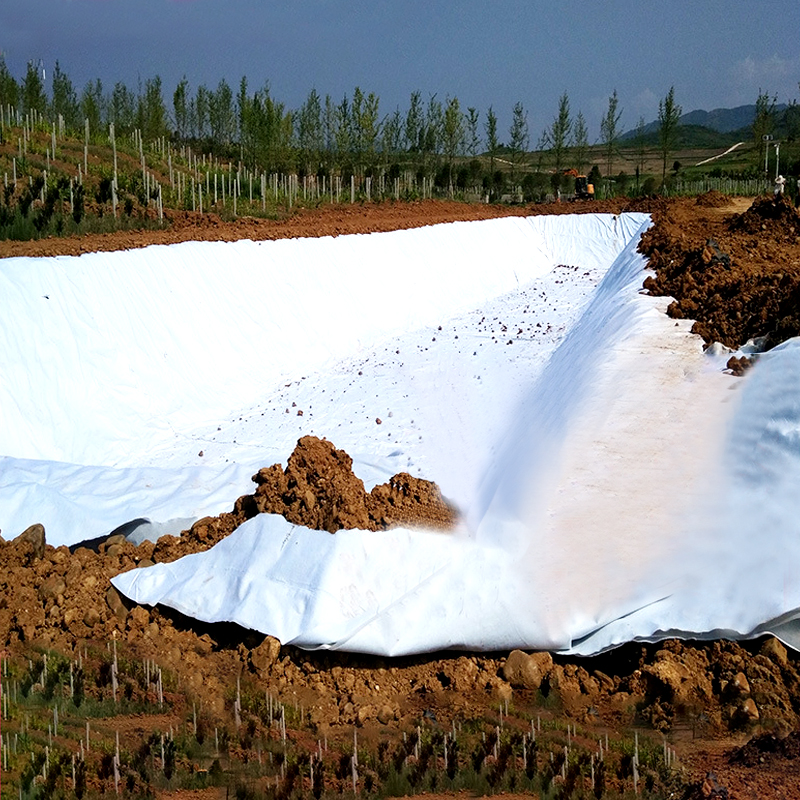 Where to find the best geo fabric suppliers