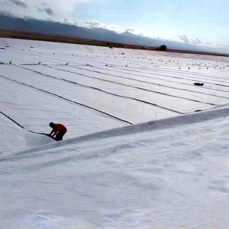 What makes geotextile drainage fabric a popular choice for drainage solutions