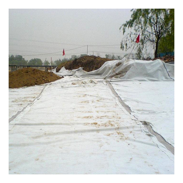 The Answer to Your Soil Stabilization Challenges