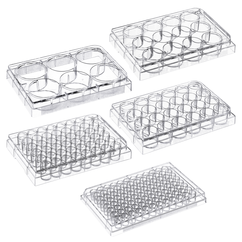 well plates