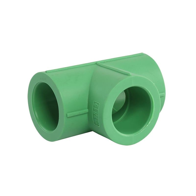 image3.jpeg