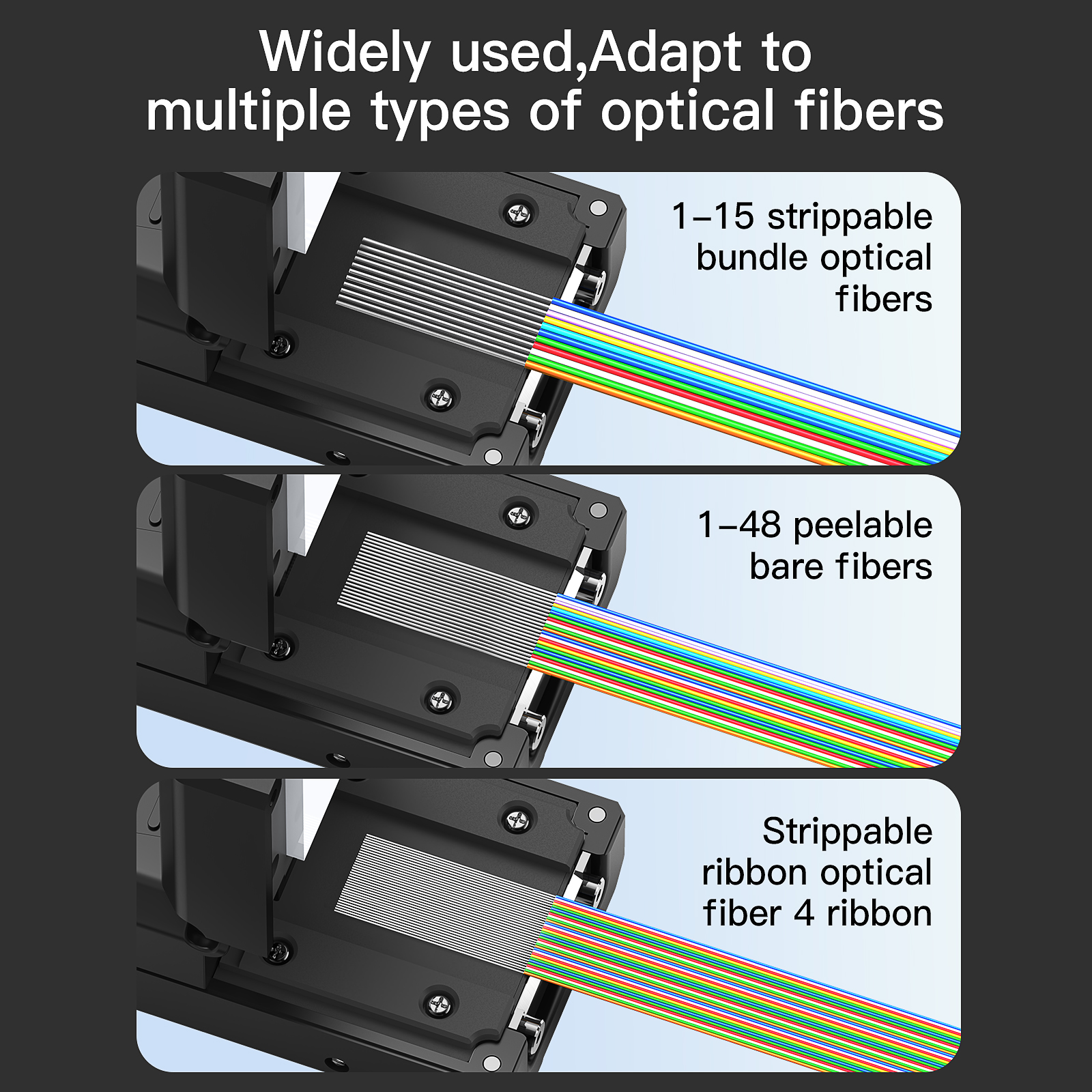 3(f761705f4b).jpg