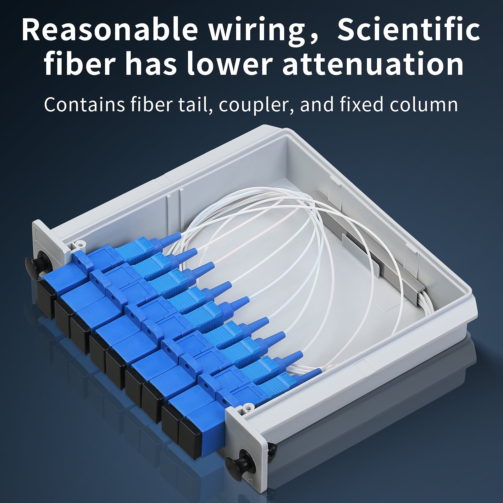 4(3933e7b4be).jpg