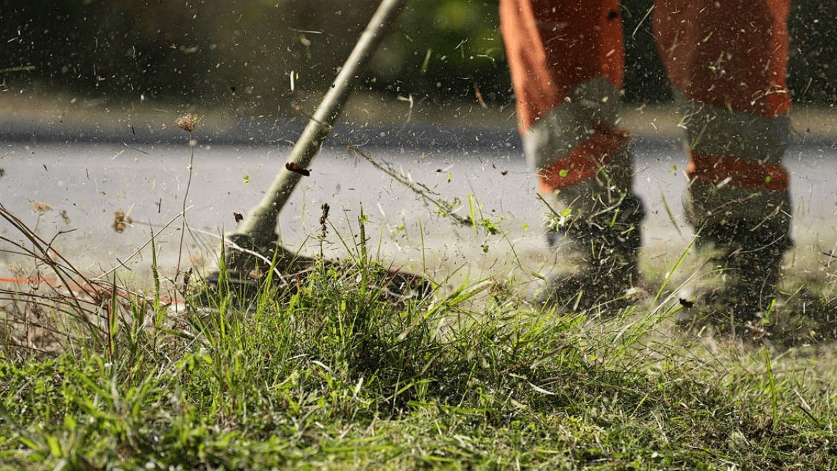 GARDENING
