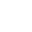 Customs & Compliance Expertise