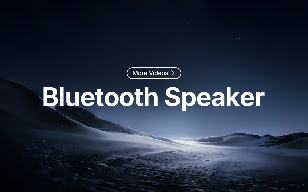Bluetooth Speaker