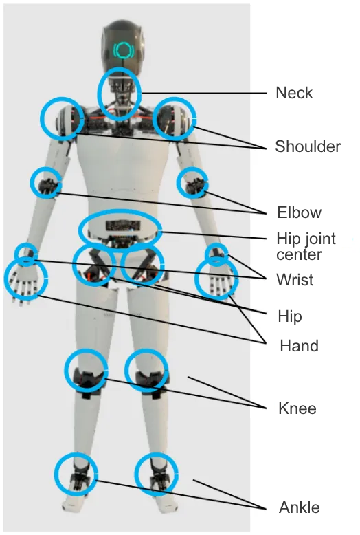 The main location of the joint motor of the humanoid robot