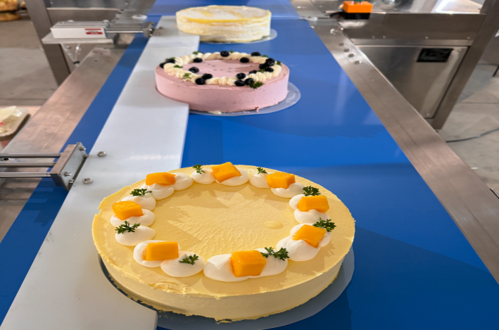 Hangos sejtő torta-vágó gép: a gyakori hibák elkerülése