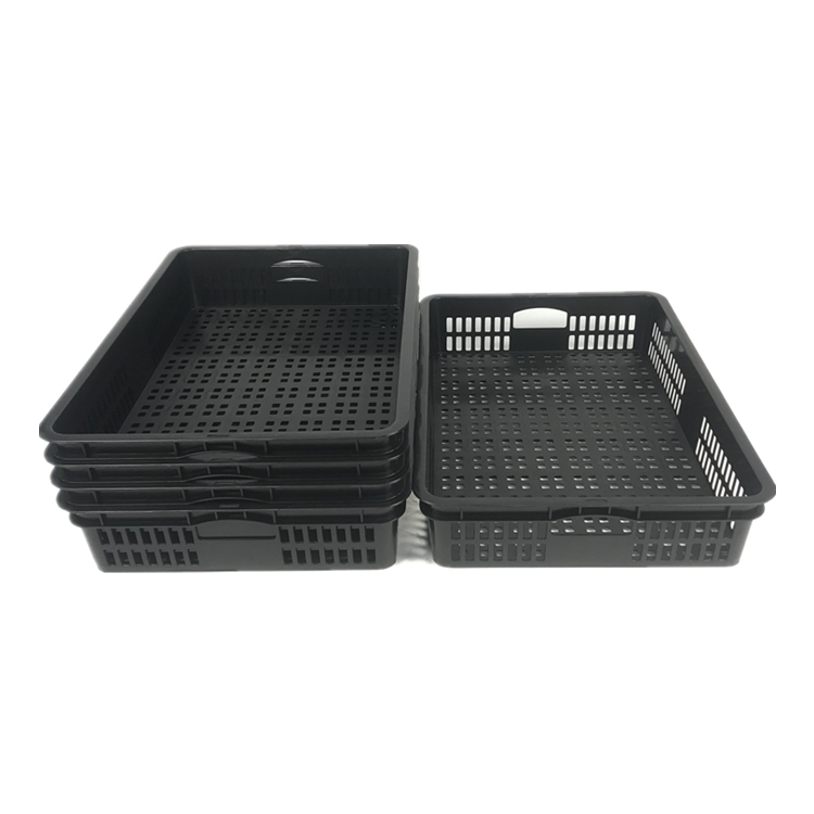 Why do exporters choose euro pallet solutions for global transportation?