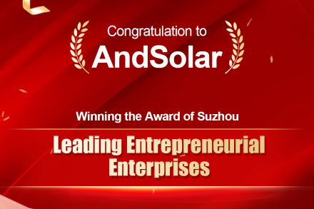 AndSolar won the Leading Entrepreneurial Enterprises