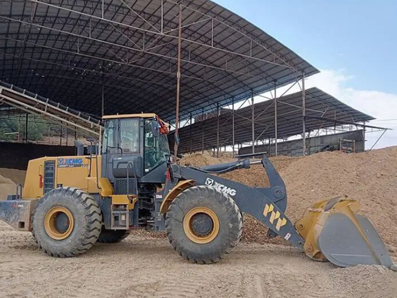 XCMG LW600FV loader