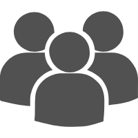 PROFESSIONAL TEAM