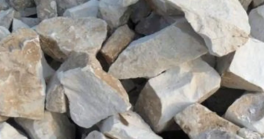 Crushing of The Core Function of Screening Bucket