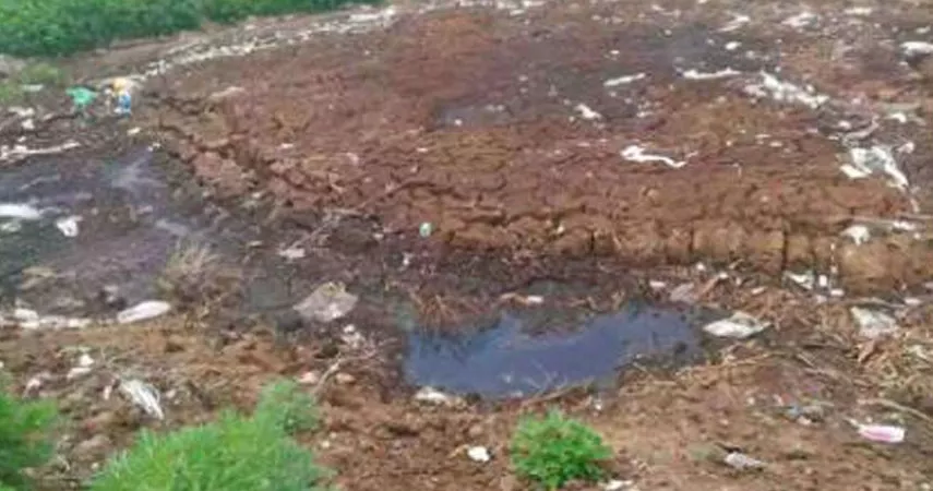 What About Soil Pollution? What About The Loss of Soil Activity? Look at The Screening Bucket!