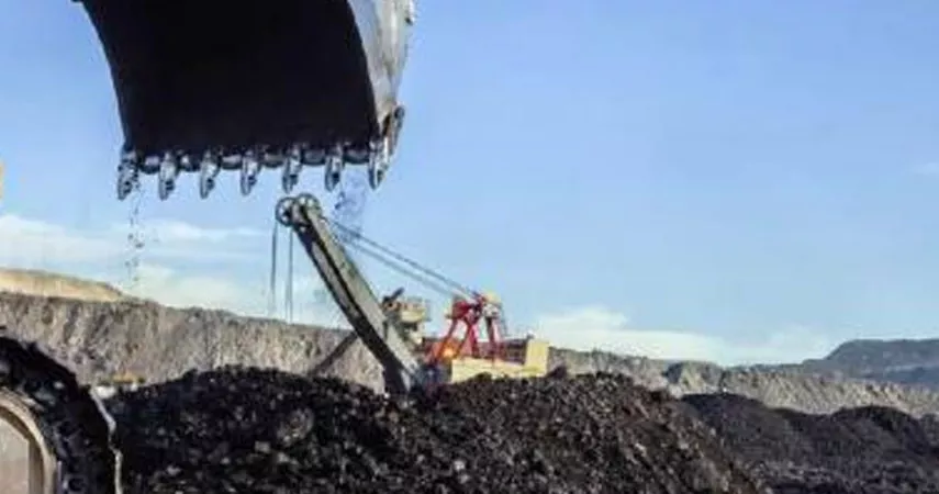 Coal Is Treated with A Screening Bucket