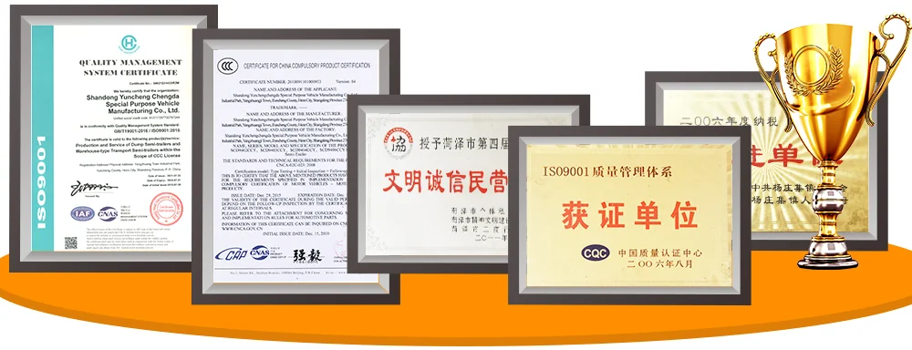 证书.webp