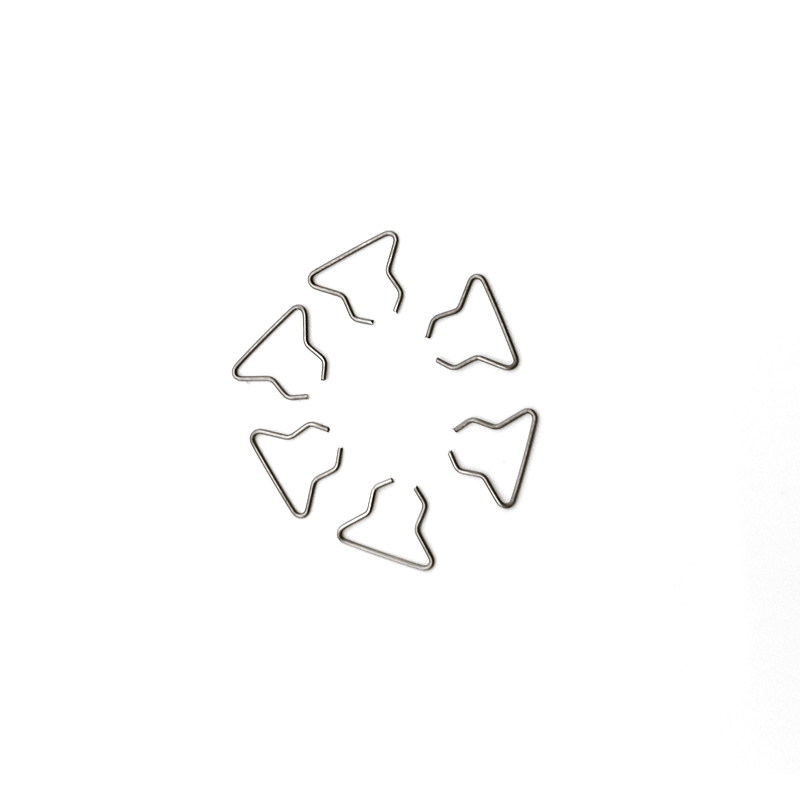 Hongsheng Stainless Steel Spring Wire Forming Metal Bending Spring Products