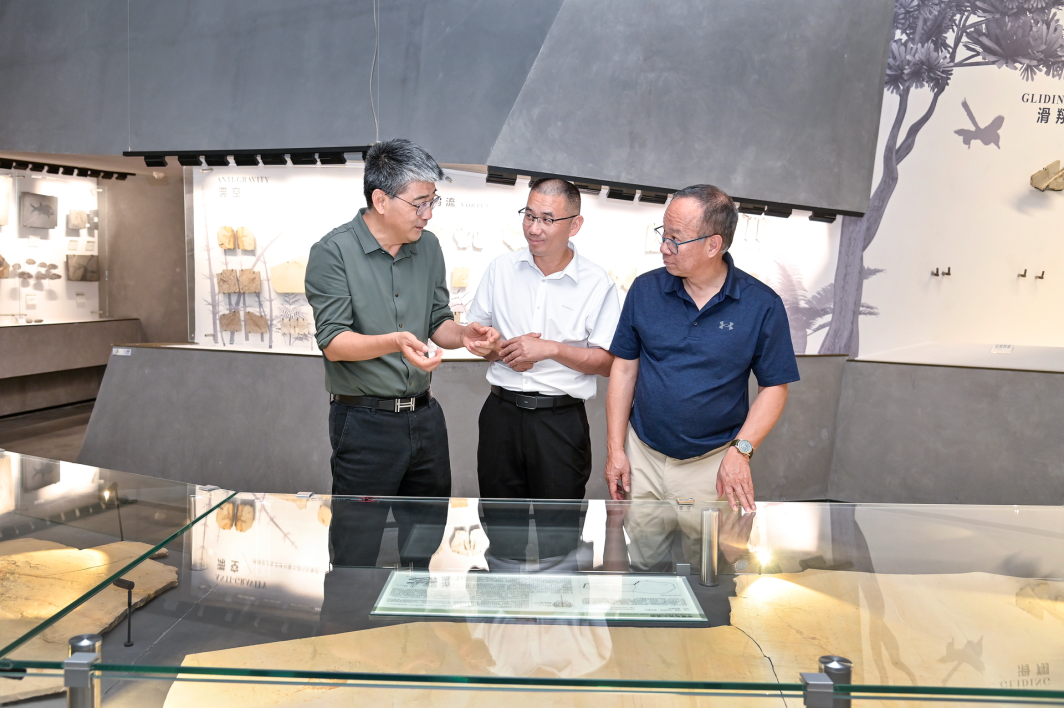 Orthopedics and Regenerative Medicine Expert, Fellow of the Australian Academy of Health and Medical Sciences Professor Zheng Minghao Visits Yingliang Group for Guidance2.png