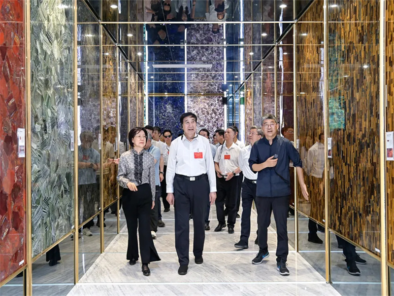 Delegación Provincial de Fujian de la Asamblea Popular Nacional visita el Grupo Yingliang para realizar una inspección e investigación