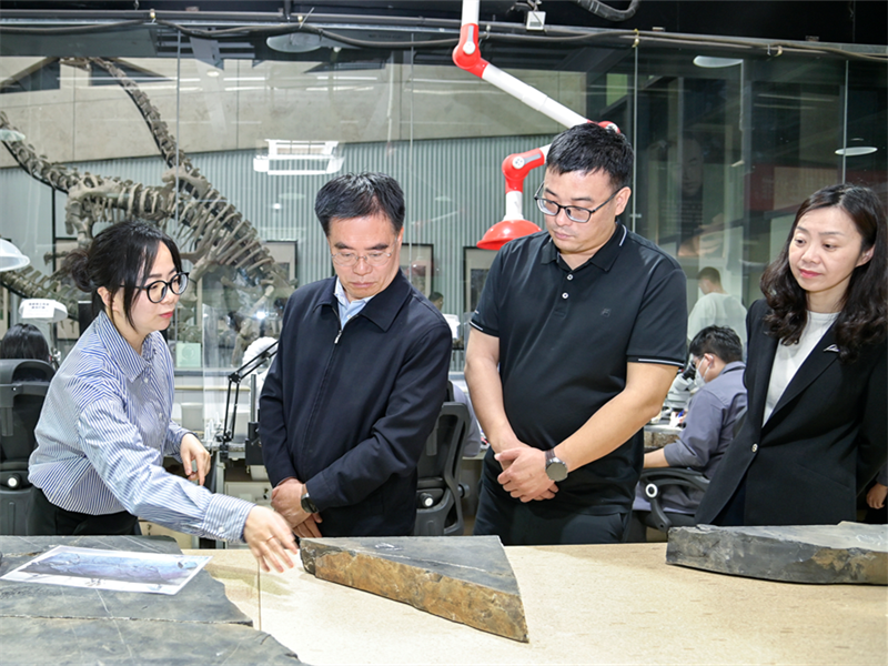 Zhou Lianqing, Secretario del Grupo de Liderazgo del Partido y Subdirector del Comité Permanente de la Asamblea Popular Provincial de Fujian, visita el Grupo Yingliang para realizar una inspección e investigación
