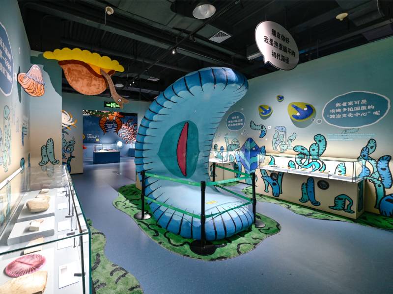 Hi! Sea Monsters | Fujian Yingliang Stone Natural History Museum and Xiamen Science & Technology Museum Jointly Present a Major Paleo-Marine Fossil Science Exhibition