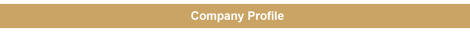 company profile.png
