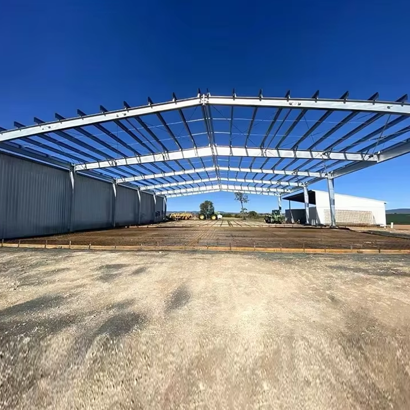Modern Chinese Design Prefabricated Steel Structure Aircraft Hangar Widely Used for Sliding Door Workshop Office Airplane Hangar