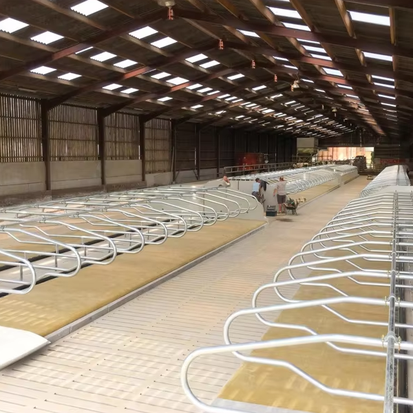 Steel Structure Building Chicken Shed Poultry Farm Mobile Chicken House