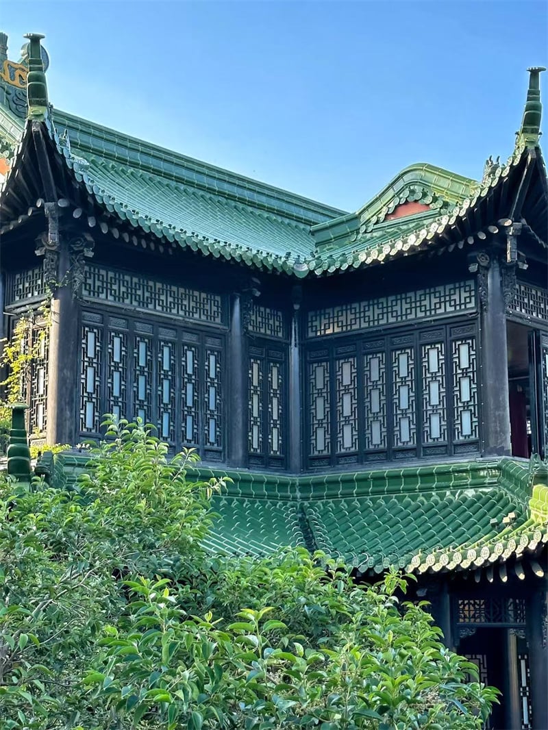 image10.jpg