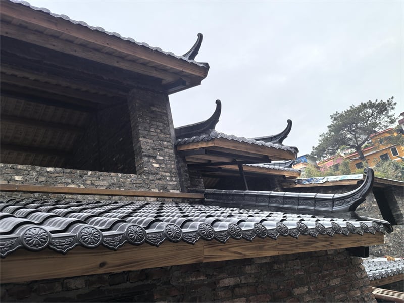 image4.jpg