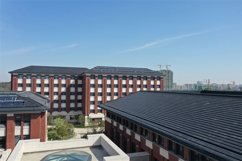 image11.jpg