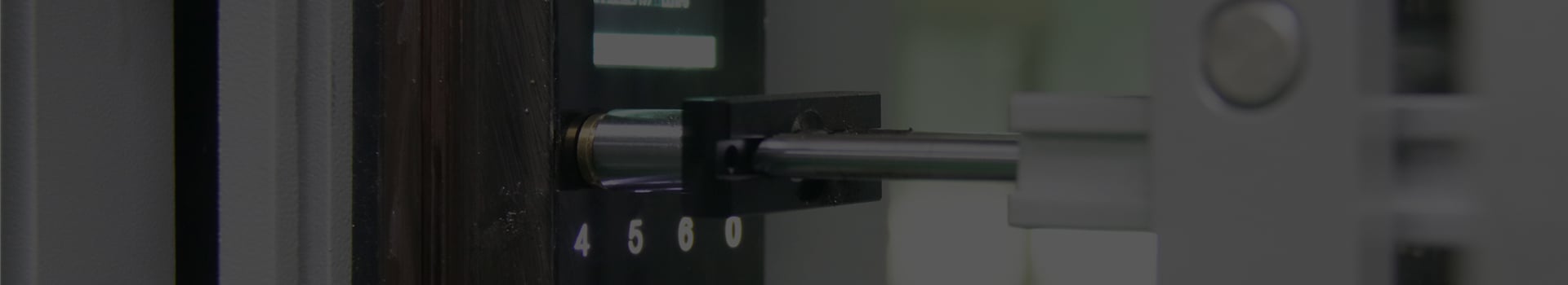 FACE SCAN DOOR LOCK