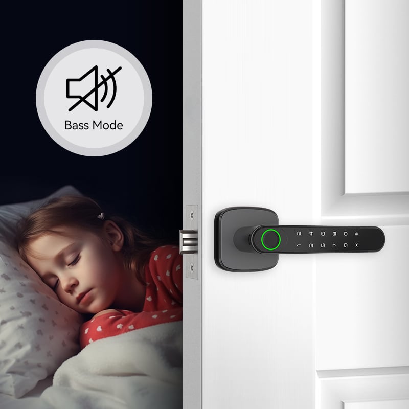 Tuya Smart Biometric Door Handle with Fingerprint k1 plus