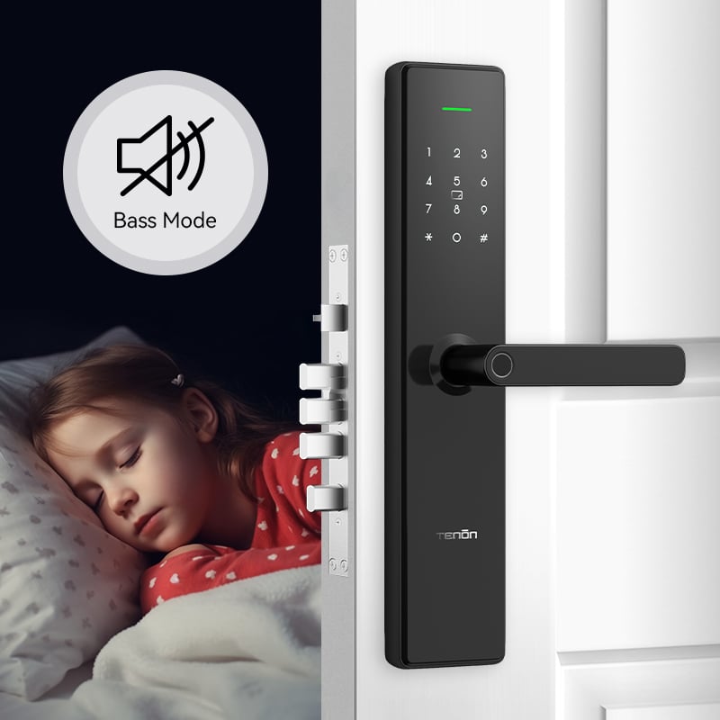 Home Biometric Fingerprint Door Lock Handle Tuya T15 