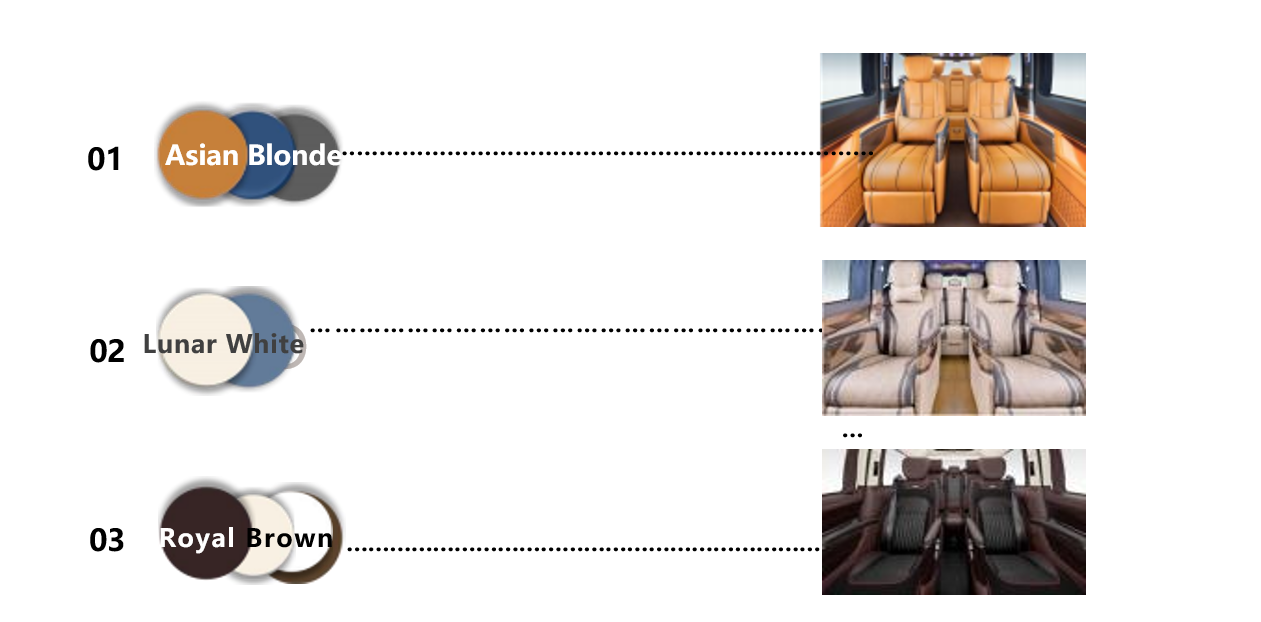 celestial horizon sz360 herms brown red enterprise luxury van 28 tv zero gravity seats 9 speed auto v260l-5